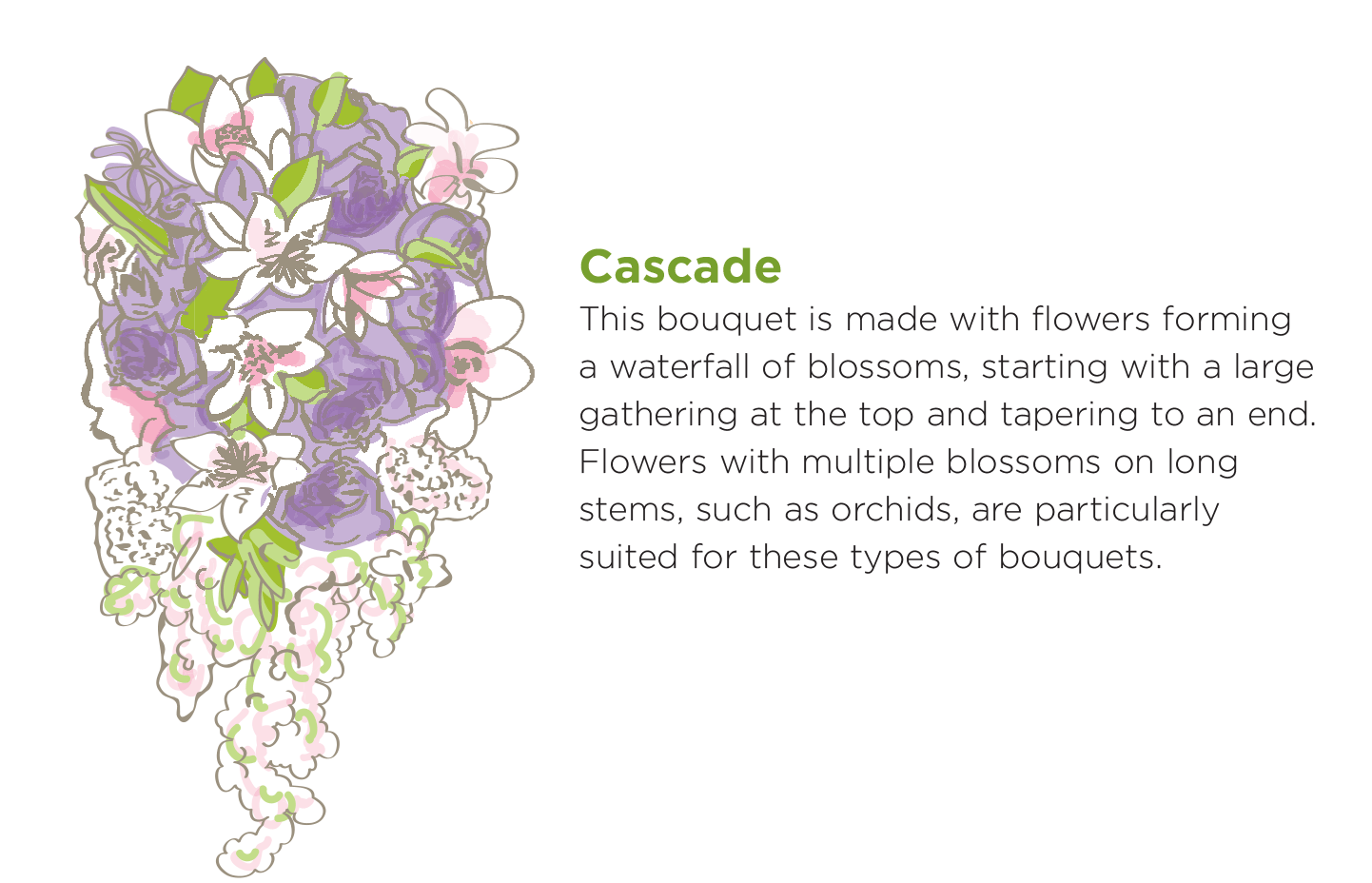 Cascade - This bouquet is made with flowers forming a waterfall of blossoms, starting with a large gathering at the top and tapering to an end. Flowers with multiple blossoms on long stems, such as orchiads are particularly suited for these types of bouquets. 