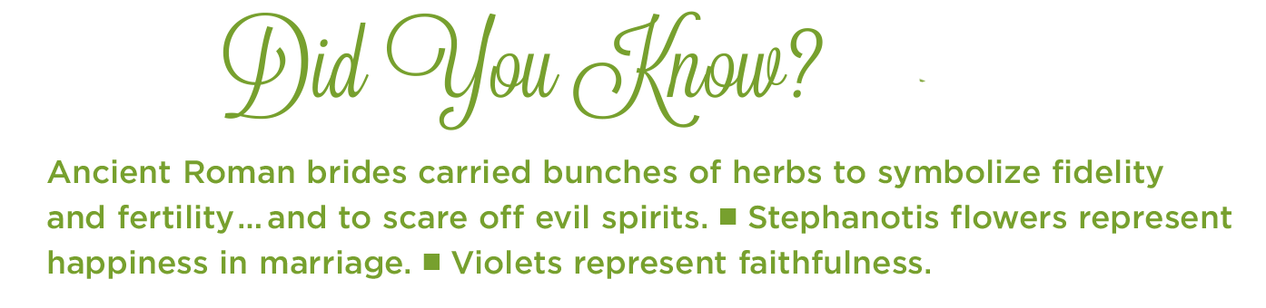 Did you know ?  Ancient Roman brides carried bunches of herbs to symbolize fidelity and fertility... and to scare off evil spirts.  Stephanotis flowers represent happiness in marriage. Violets represent faithfulness. 